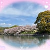 今年の桜の画像