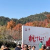 天平山の紅葉の画像