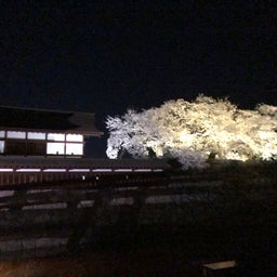 画像 松代城本丸の夜桜 の記事より 1つ目