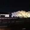松代城本丸の夜桜の画像