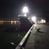 春の博多湾釣り引分け20240413の画像