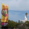 第11回カレーEXPO in 万博公園(大阪) 前半の画像