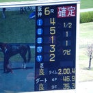  ◎愛馬ログラールが馬群から抜け出し勝利！☆阪神6Rの記事より