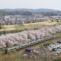 画像 桜と列車を撮りたくなって急に旅に出た の記事より 8つ目