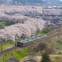画像 桜と列車を撮りたくなって急に旅に出た の記事より 10つ目