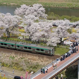 画像 桜と列車を撮りたくなって急に旅に出た の記事より 11つ目
