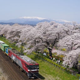 画像 桜と列車を撮りたくなって急に旅に出た の記事より 16つ目