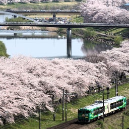 画像 桜と列車を撮りたくなって急に旅に出た の記事より 12つ目