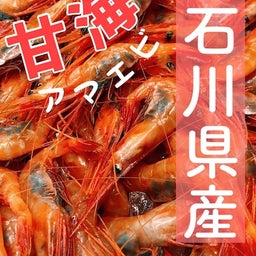 画像 うお吉の仕入れ　石川県産『甘海老』＜sweet shrimp＞ の記事より 1つ目