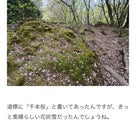 茅ヶ岳①〜桜はどこに。。。の記事より
