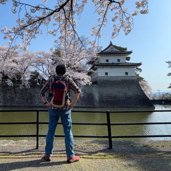 桜が満開の新発田城‼️蕗谷虹児記念館も行ったよの巻