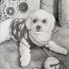 宇野二郎のペン画　愛犬の画像