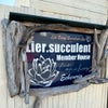 ◆Lier.succulent〜メンバーハウスは夢の国〜の画像