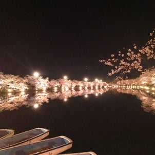 弘前の桜の画像