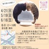 5月19日(日)12時〜16時　保護猫ルームえびす譲渡会です!!の画像