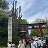 根津神社のつつじまつりへ…の画像