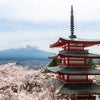 ブログ15周年‼︎ 富士の桜③（新倉山浅間公園）の画像