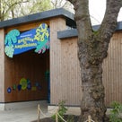 新しい爬虫類館とゴリラの赤ちゃん達etc. @ロンドン動物園の記事より