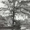 雨貝敏夫のタテ線ペン画　・　木の画像