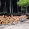 薪造り作務完了！の画像