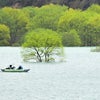 白川湖水没林と高畠町名所めぐりの画像
