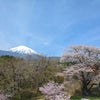 ４月２０日(土)　東口本宮富士浅間神社の画像