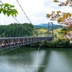 野岳湖公園の吊り橋