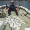 マコガレイ６２枚の激釣‼️第５おおとく丸で行く初挑戦のかかり釣り