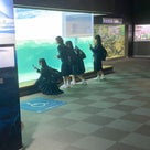 トンネル水槽の再開で見どころ満載！「県立琵琶湖博物館」の記事より