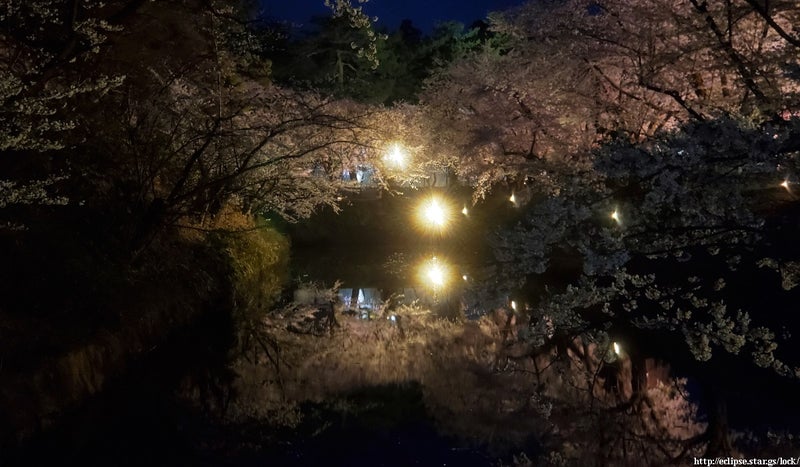 弘前城内濠に反射する桜並木