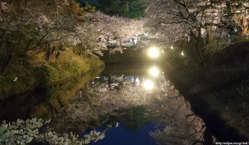 弘前城内濠に反射する桜並木 露出オーバー