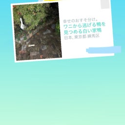 画像 念願の「スイートオリーブ金木犀茶屋」@西荻窪 に初めて行ってパフェ食べて来ました！ の記事より 43つ目