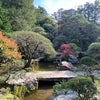 山本亭から河川敷の桜並木を見にの画像