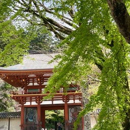 画像 ●好きな場所、心惹かれる場所に行ってみよう♪枝垂れ桜、石楠花の咲く奈良旅を楽しみました の記事より 9つ目