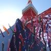 東京タワー　333匹の「鯉のぼり」と「さんまのぼり」の画像
