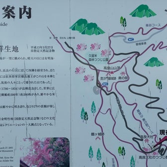 2024春九州　桜とラーメンを求めて④　景色は最高ですねとお清陽軒