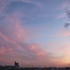 ピンクマジックアワーと上野公園・ぼたん苑の空の画像