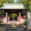 早朝散策　寿福寺の画像