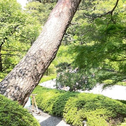 画像 東京散歩vol22、庭園美術館、八芳園、泉岳寺、高輪ゲートウェイ の記事より 19つ目