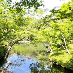 画像 東京散歩vol22、庭園美術館、八芳園、泉岳寺、高輪ゲートウェイ の記事より 14つ目