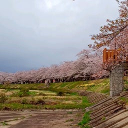 画像 吉方位旅行：みちのく3大桜巡り の記事より 5つ目