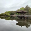 2024年4月　京都と奈良へ　④浮見堂、興福寺、ならまちの画像