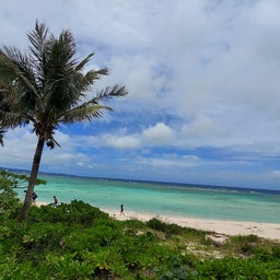 画像 沖縄⑤｜ハイアット瀬良垣　プールとビーチを散策 の記事より 24つ目