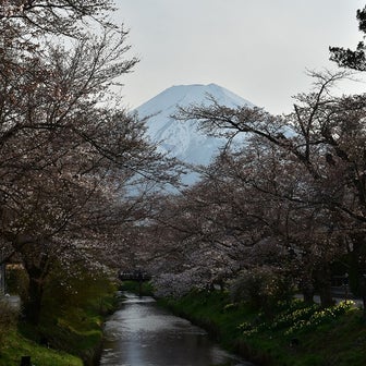 富士山周辺の「映えスポット」巡り