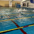 日本女子体育大学 水泳部