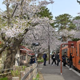画像 津軽鉄道2024・春の旅5 の記事より 8つ目
