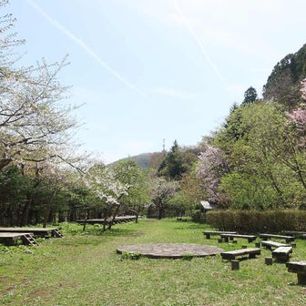桜の季節の函館山宮の森ハイキング