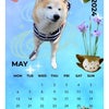 5月だね！朝から雨降り（ ;  ; ）姫菜さんカレンダーありがとう(^^)の画像