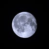 ⭐自宅からお月さま（月齢17.0）/The moon from home (lunar ageの画像