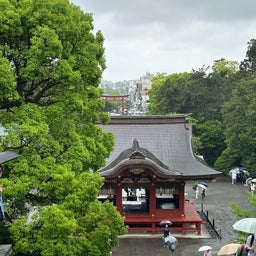 画像 大雨の鶴岡八幡宮は空いていた！ の記事より 6つ目